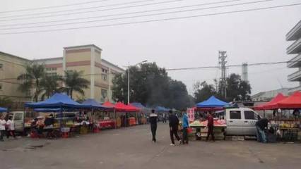 迎创文国考 促工作提升 烈日下谢岗城市绿化管理新篇章