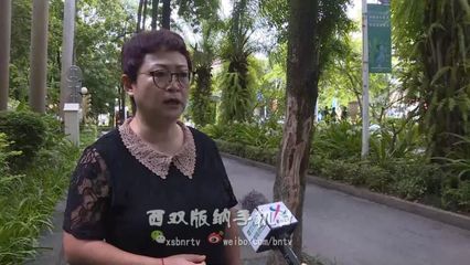 人要脸树要皮！绿化树遭恶意剥皮，城市绿化管理亟待加强