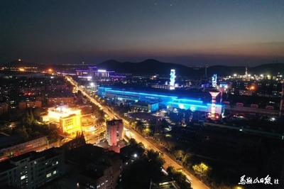 夜幕中绽放的“江南一枝花”——城市绿化管理的创新实践