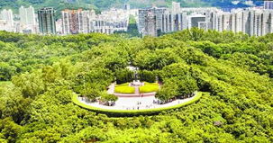 深圳 从“千园之城”到全国一流绿化城市的典范之路