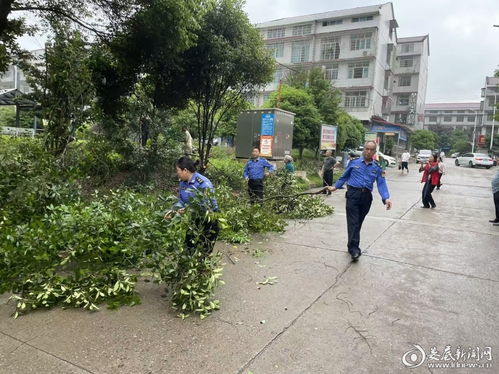 剪除隐患送清凉，修出社区新风貌——娄底市城管执法支队住建大队党支部主题党日侧记
