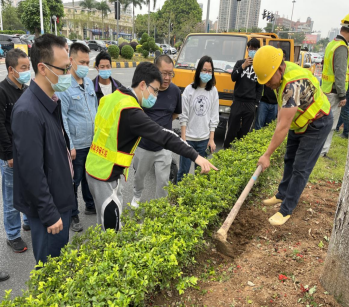 广州花都 开展“树医生”土壤改良工作 推进城市园林绿化养护管理