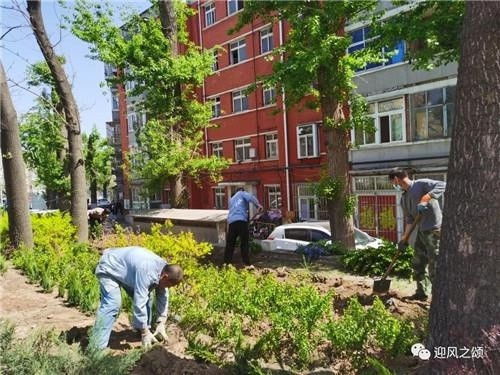 房山区城市管理见实效 绿化美化点亮社区新生活